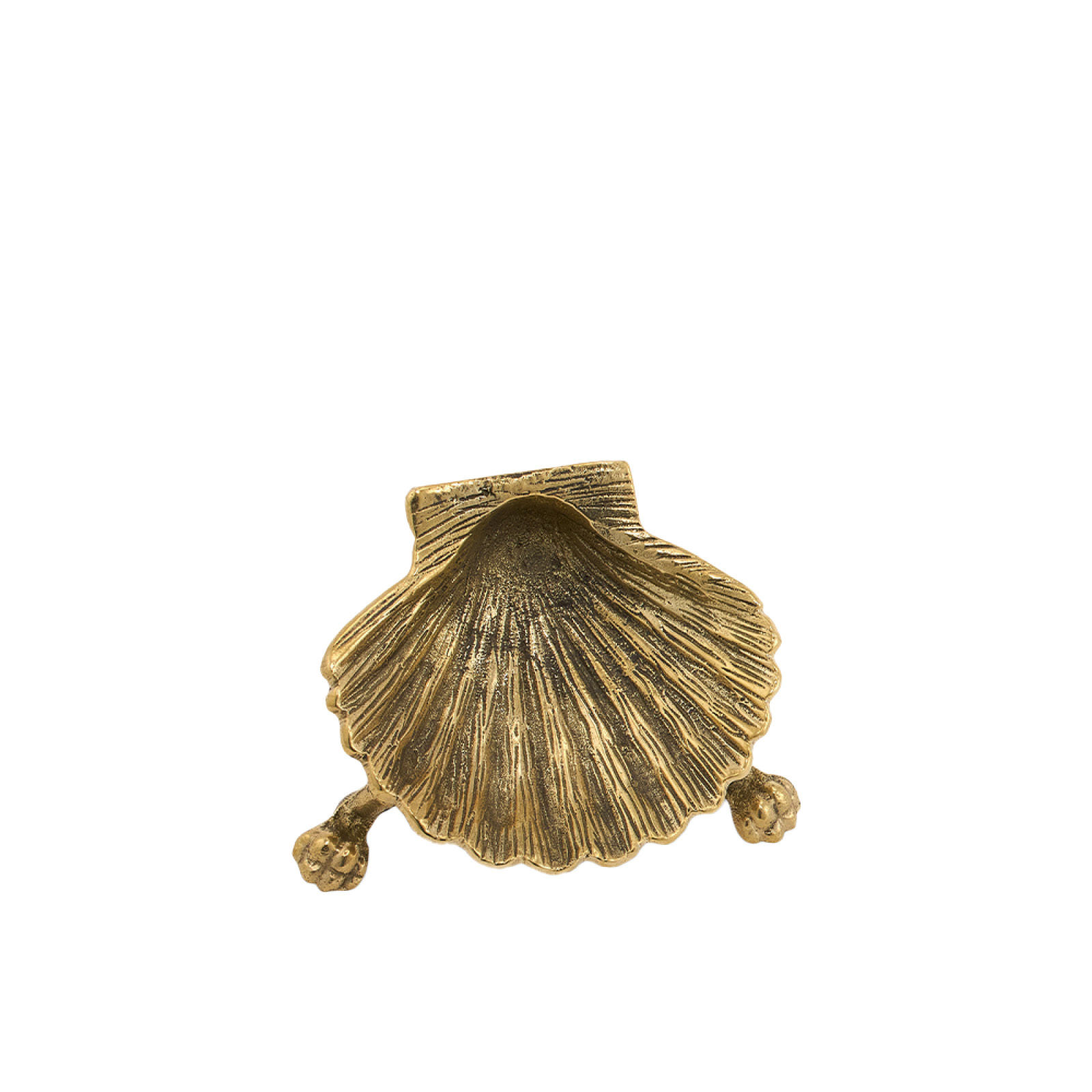 Fat Scarlett shell mässing