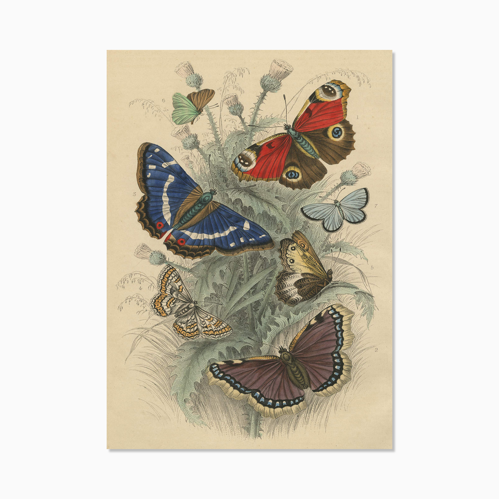 Pussel Dancing Butterflies av John Derian 750 bitar