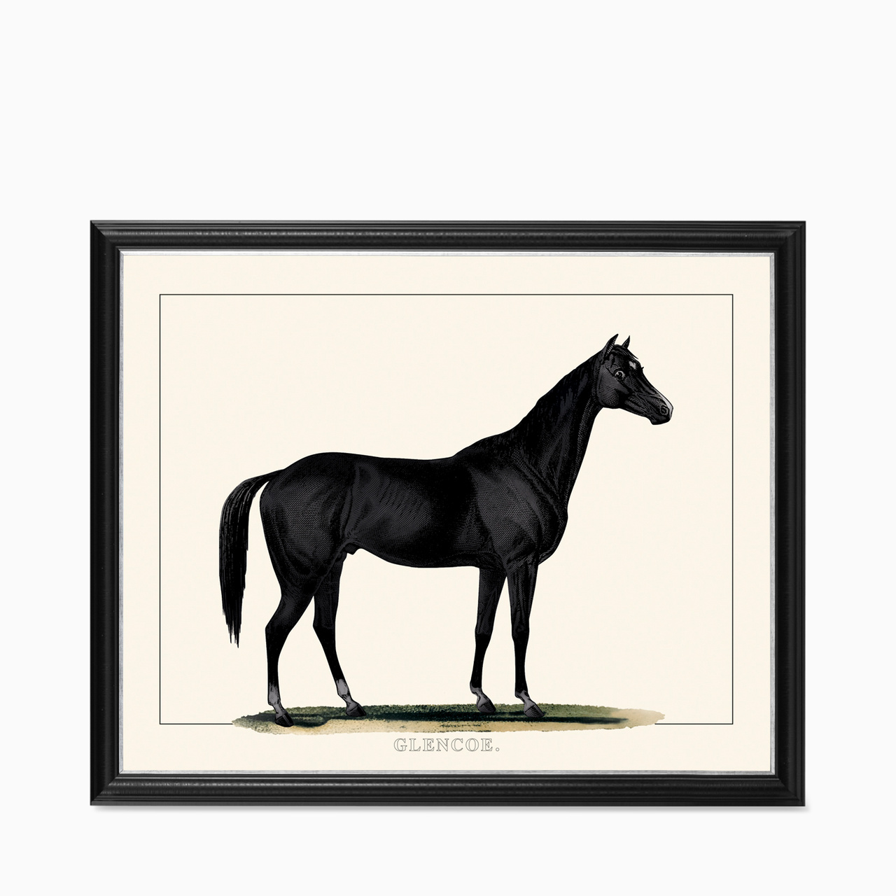 Tavla Black Horse