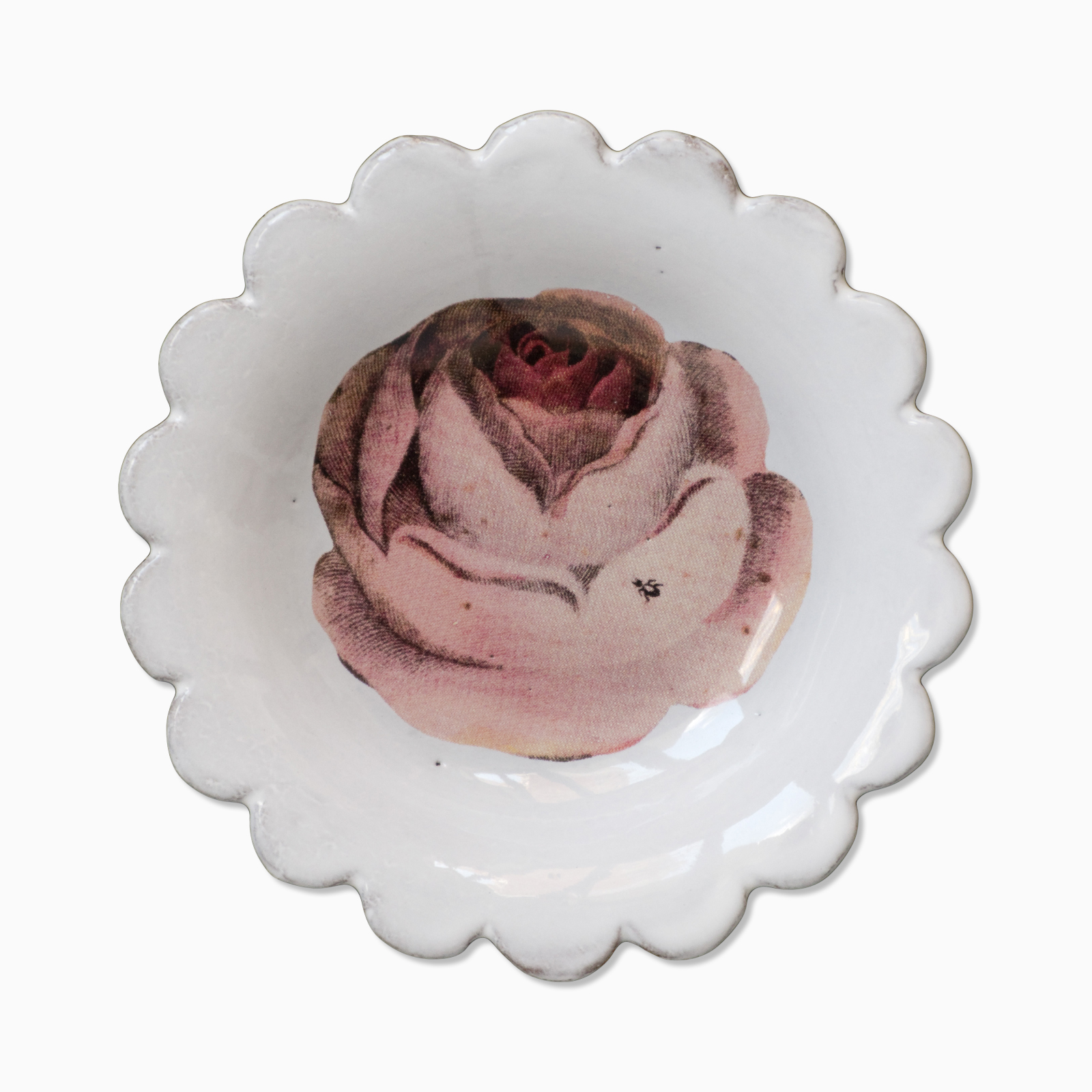 Fat Rose and Insect John Derian 13 cm