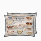 Kudde Butterfly studies 45x60 cm