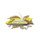 Doftljus Ernesto