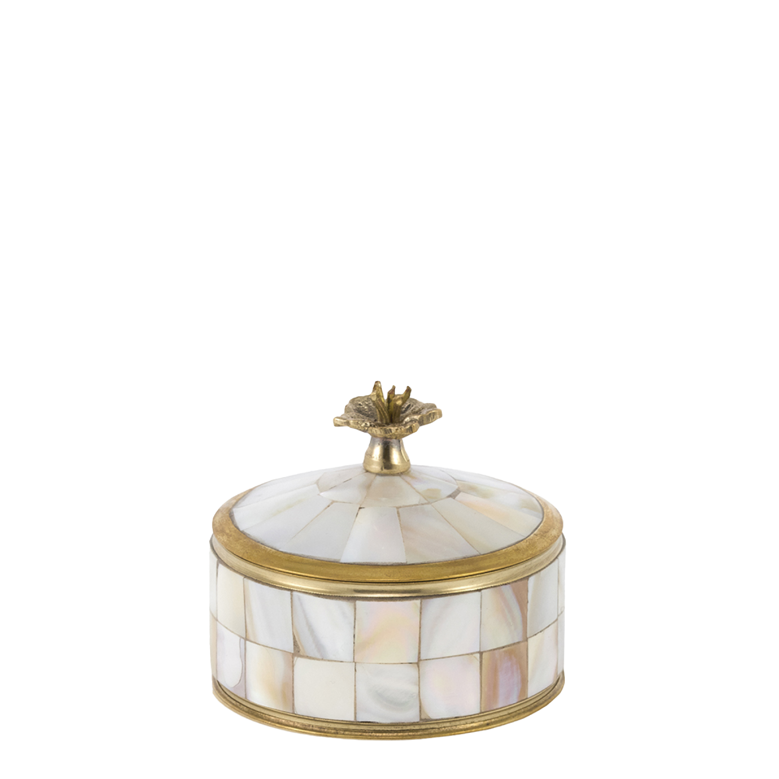 Ask Maisie Circus Box Pearly