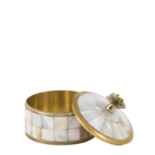 Ask Maisie Circus Box Pearly