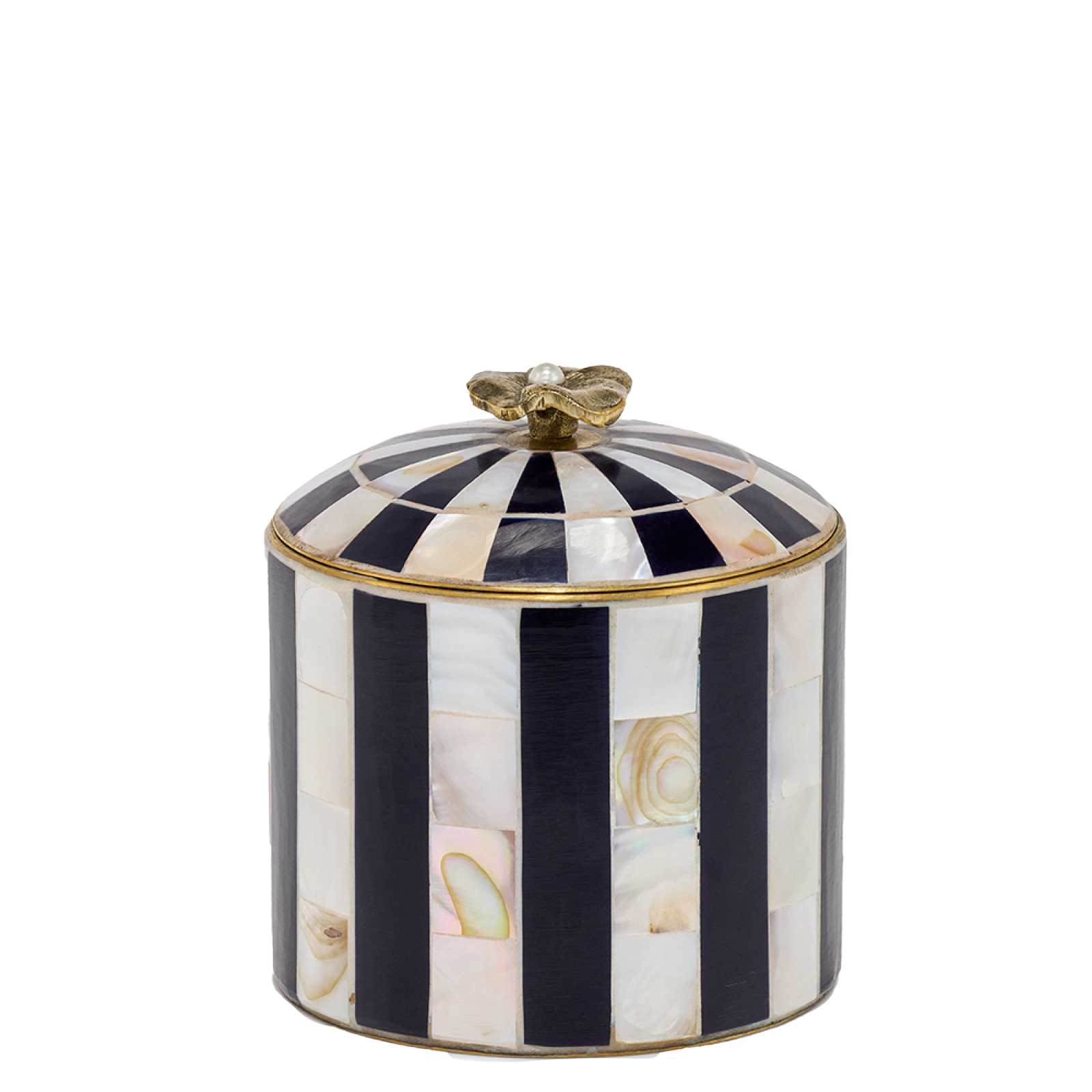 Ask Zoey Circus Box