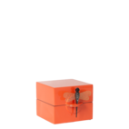 Box lack med trollslända liten orange