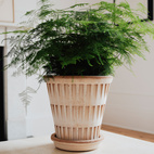 Kruka Pantheon ø25 cm antikrosa med fat