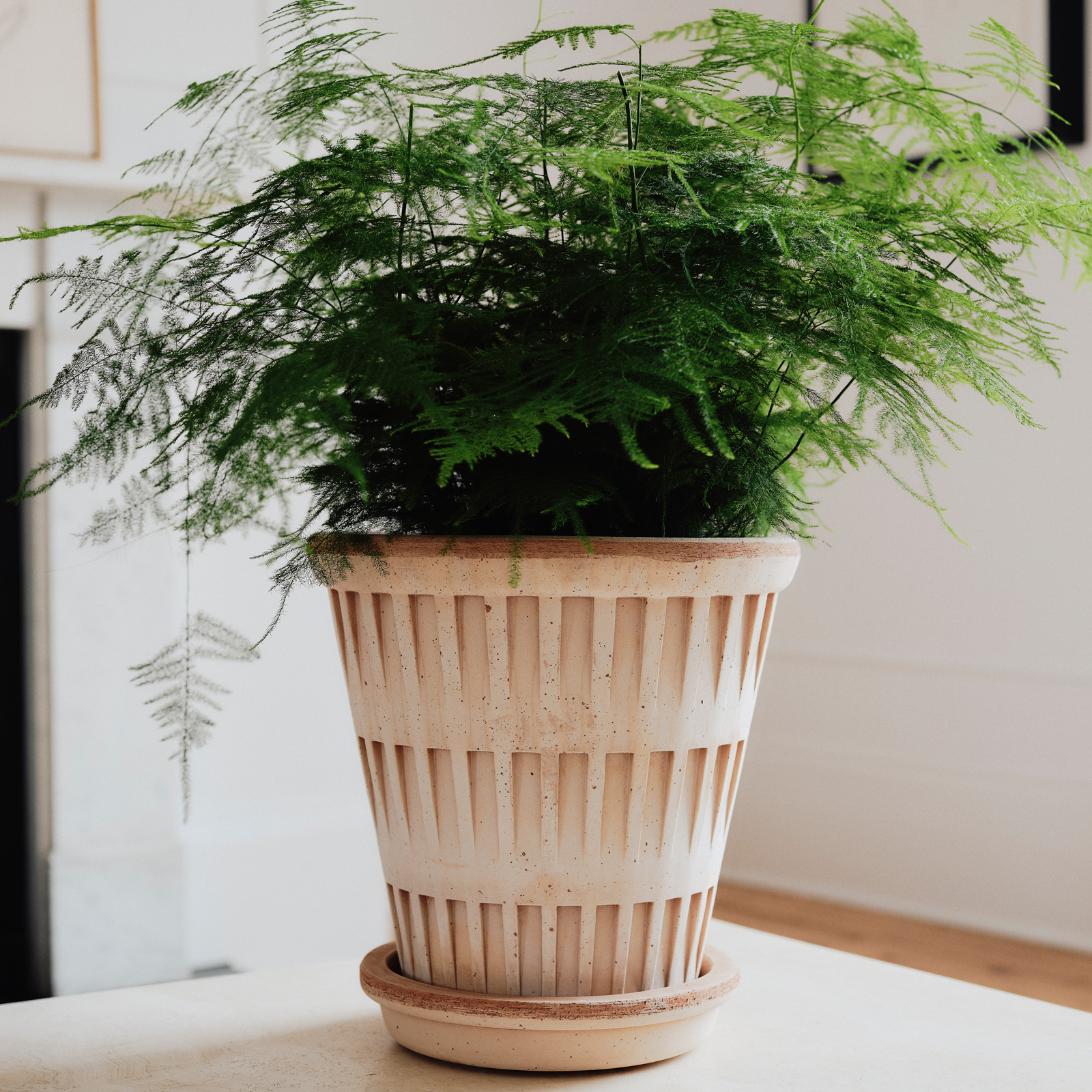 Kruka Pantheon Ø25 cm antikrosa med fat