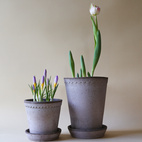 Kruka Helena Hög ø14 cm grå med fat