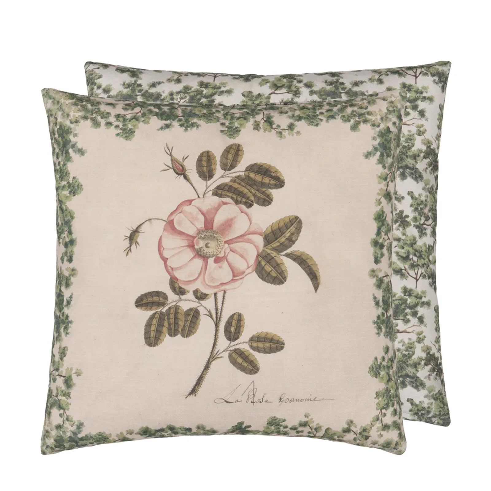 Kudde La Rose Rose cushion 50x50