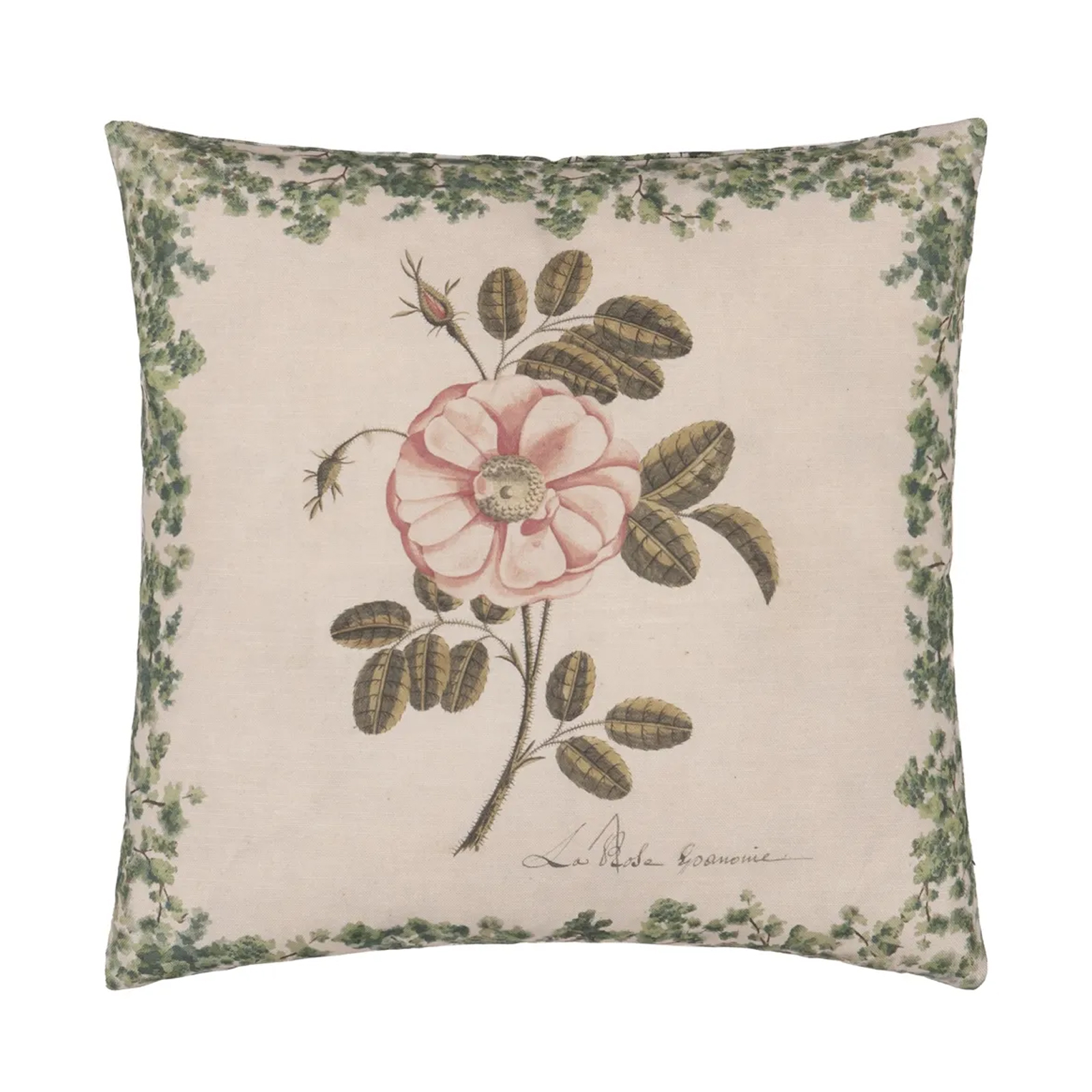 Kudde La Rose Rose cushion 50x50