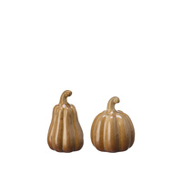 Judy Pumpa mix beige set två