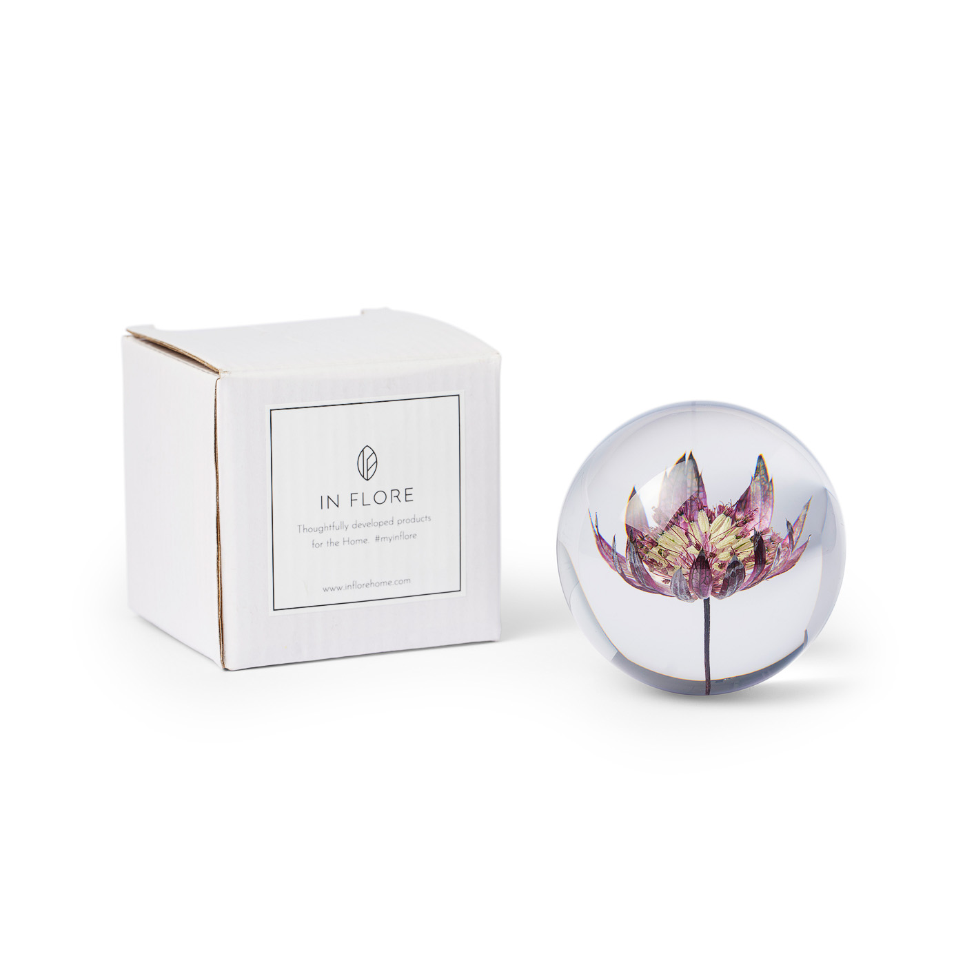 Brevpress Blume