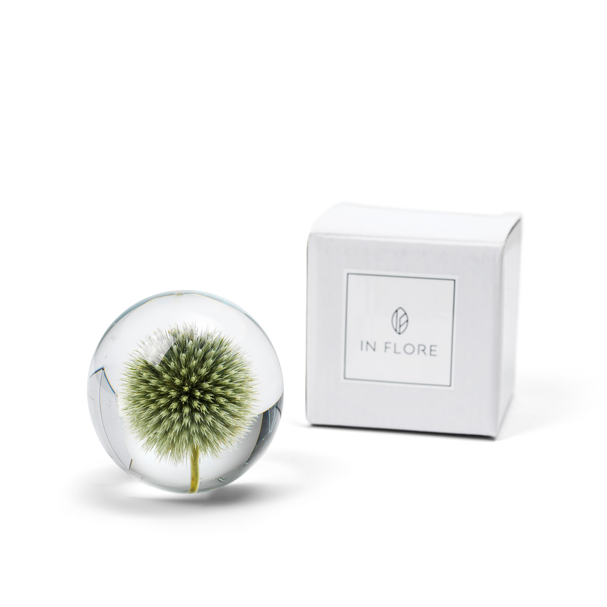 Brevpress Thistle
