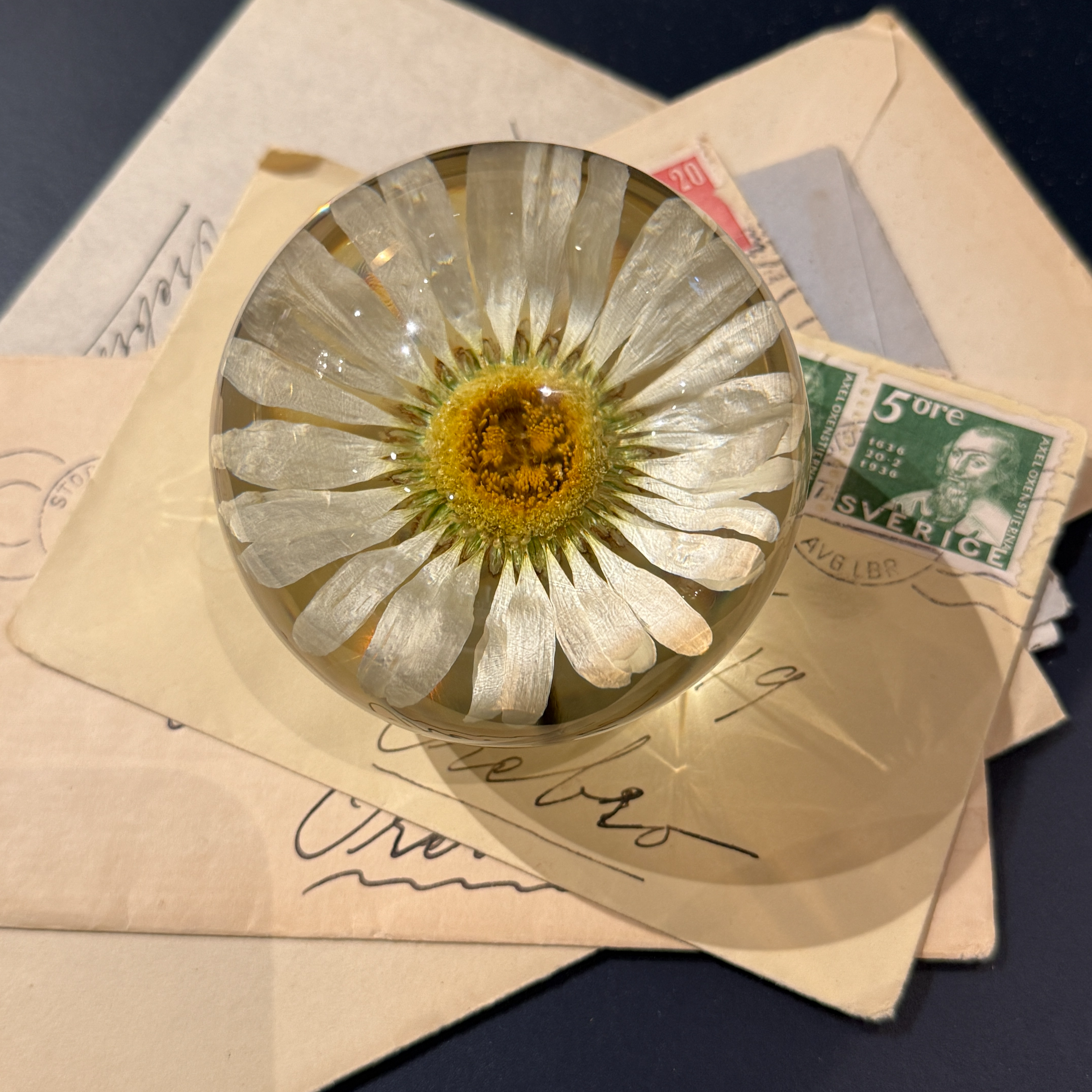 Brevpress Daisy