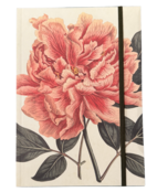 Anteckningsbok Pioner