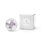 Brevpress Hortensia lila 