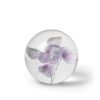 Brevpress Hortensia lila 