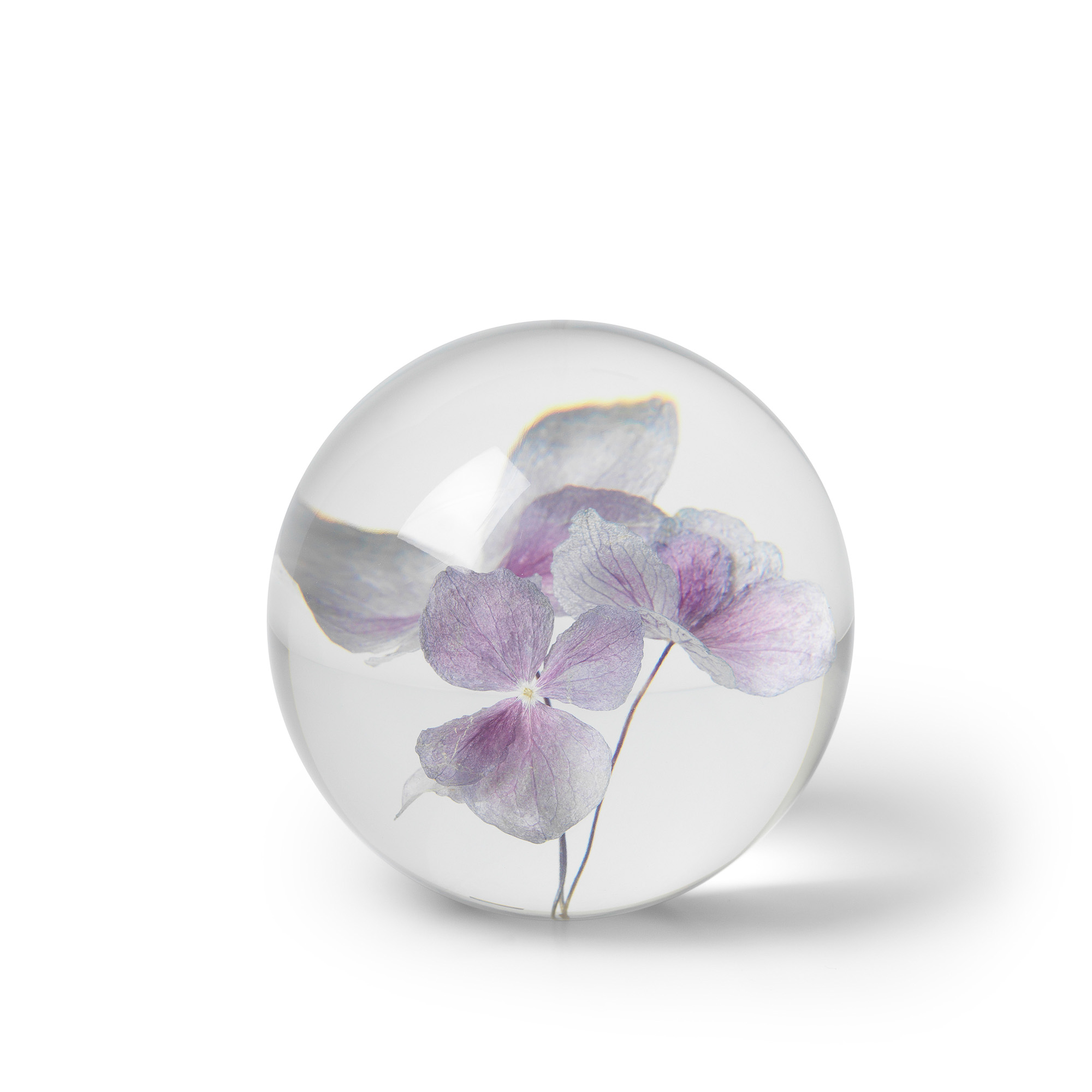 Brevpress Hortensia lila 