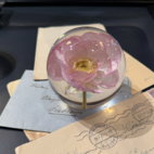 Brevpress Peony Rose