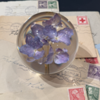 Brevpress Hortensia lila 