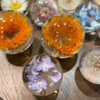 Brevpress Hortensia lila 