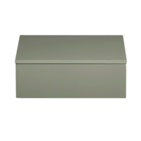 Lackerad box Sage