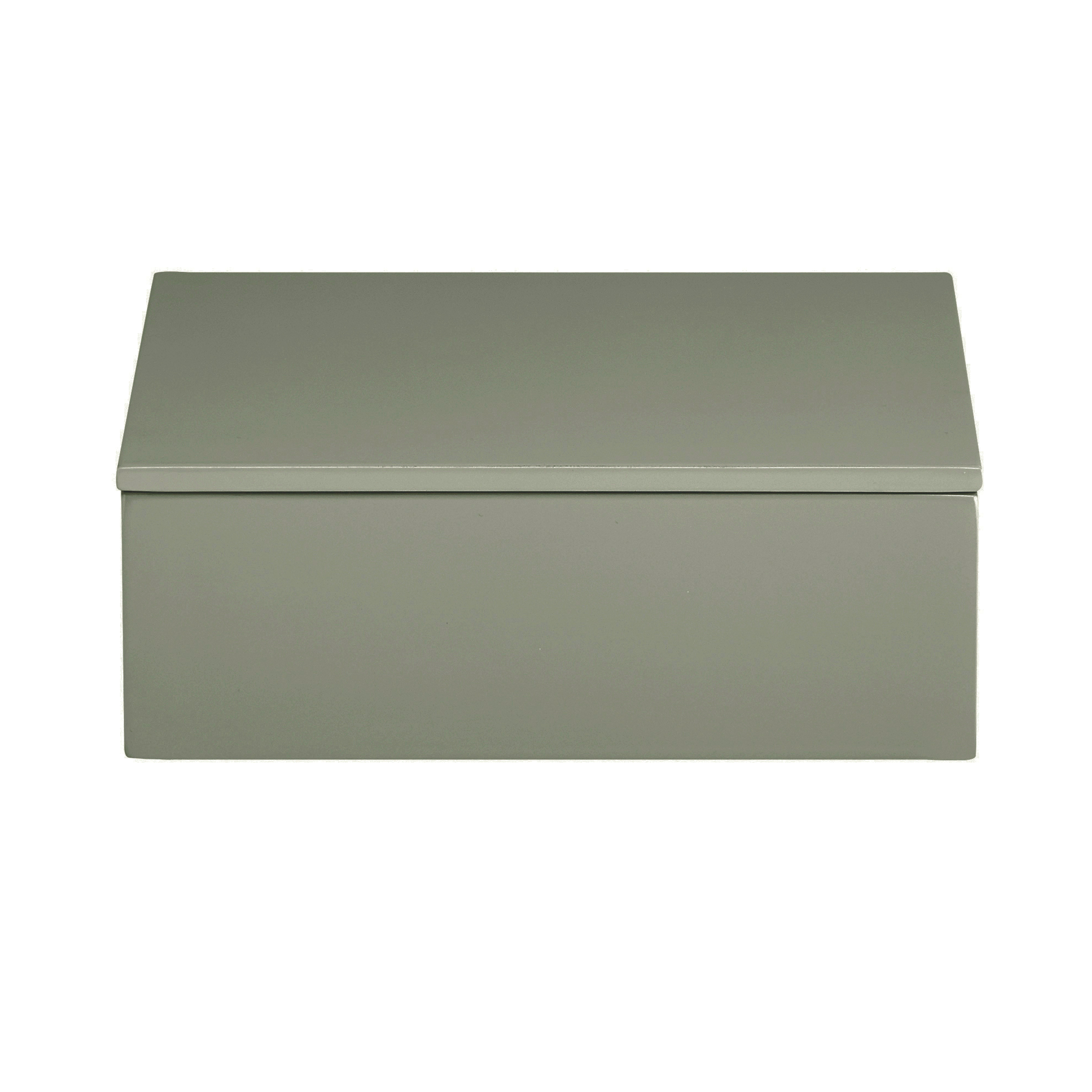 Lackerad box Sage