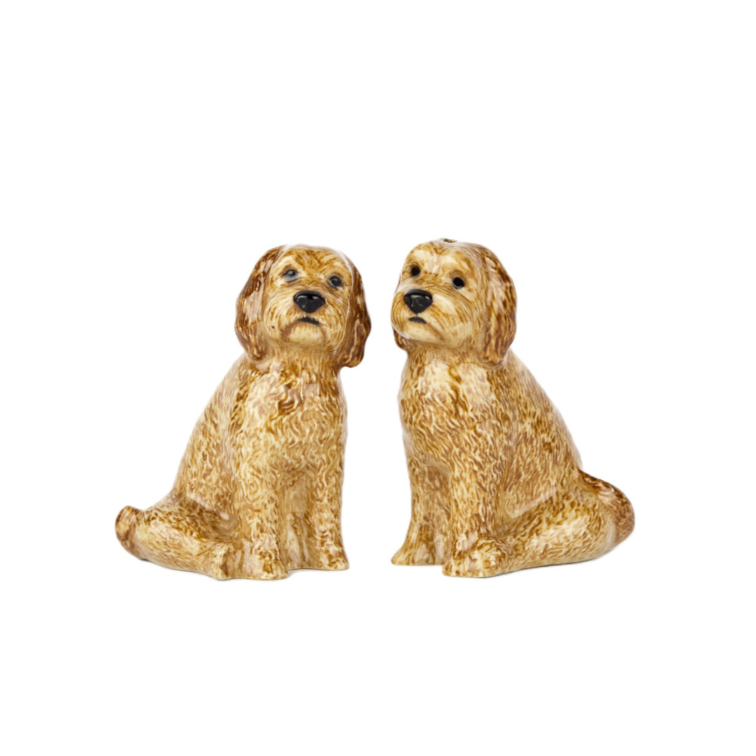 Salt & pepparkar Cockapoo