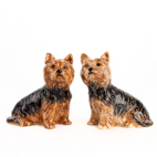 Salt & pepparkvarn Yorkshireterrier