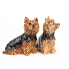 Salt & pepparkvarn Yorkshireterrier