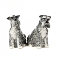 Salt & Pepparkar Schnauzer