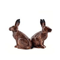 Salt & pepparkar Hare