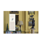 Bok - My Life in Colors