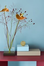 Lackerad box 38x19x7 Fawn