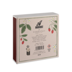 Tändsticksask Strawberry