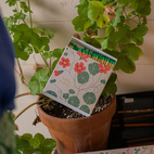 Tändsticksask Nasturtium