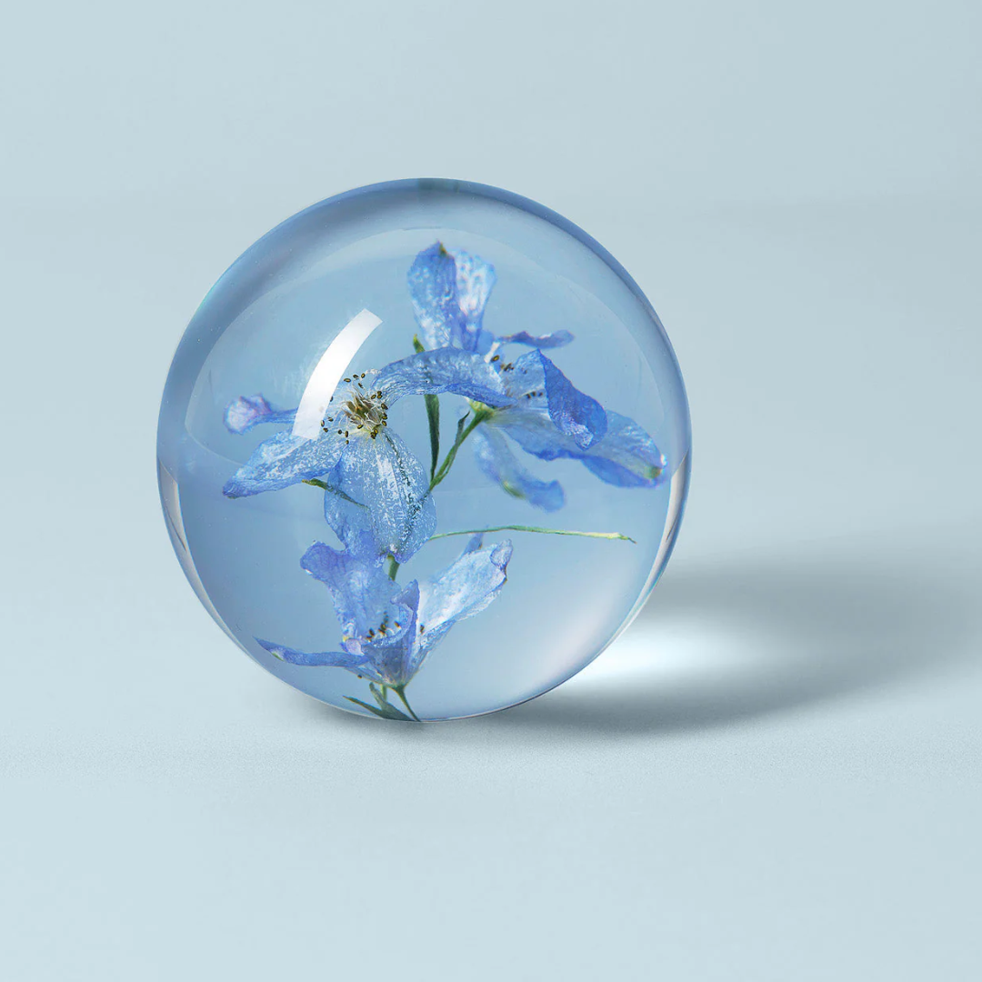 Brevtyngd riddarsporre blå