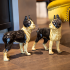 Staty Bostonterrier