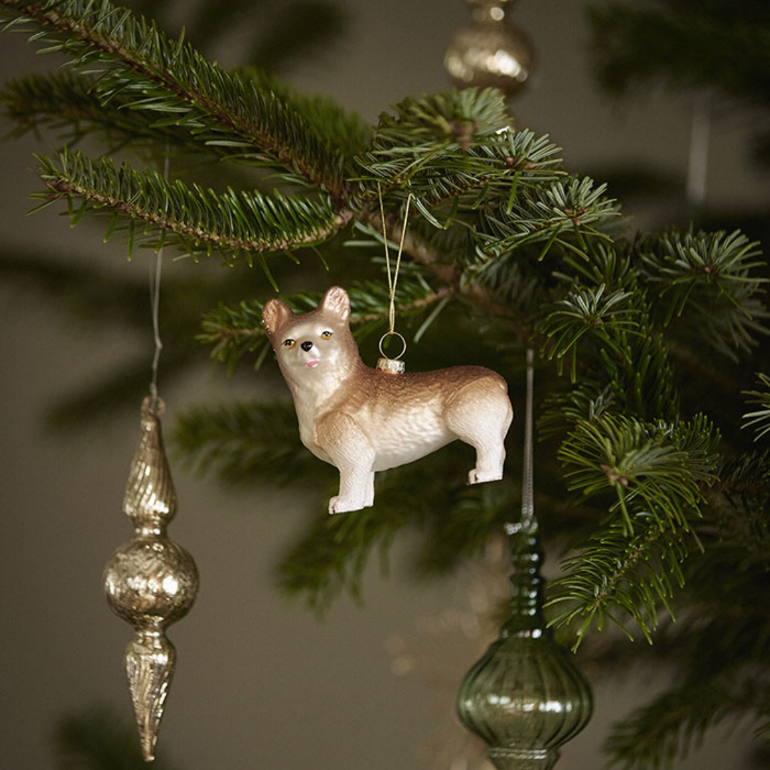 Julkula Corgi