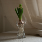 Twist Bulb Vas 19 cm Clear